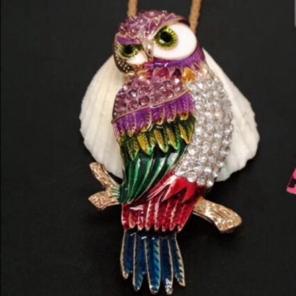 Betsey Johnson Jewelry - Betsey Johnson owl necklace NEW Host Pick